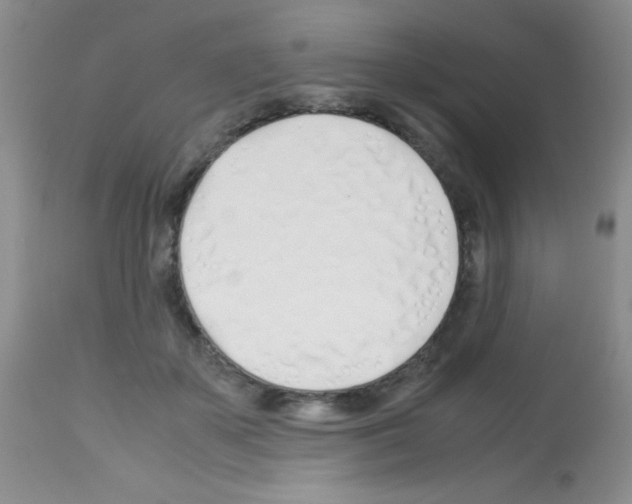 X0000113090507200910091301