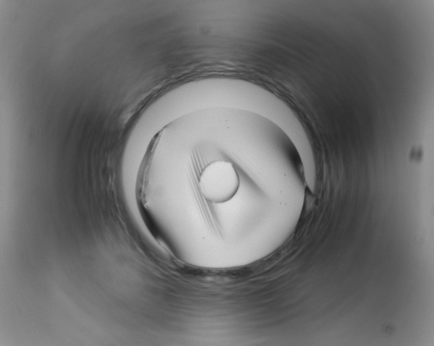 X0000113090508200910091301