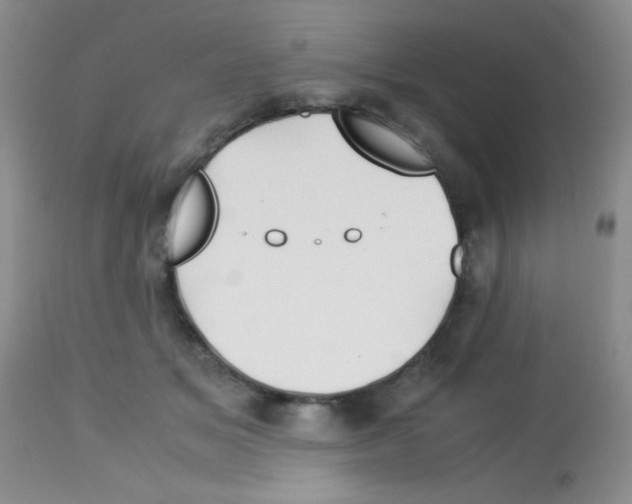 X0000113090509200910091301