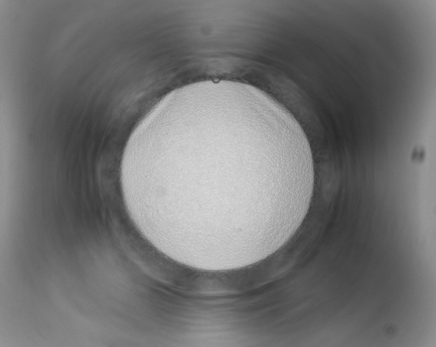X0000113090510200910091301