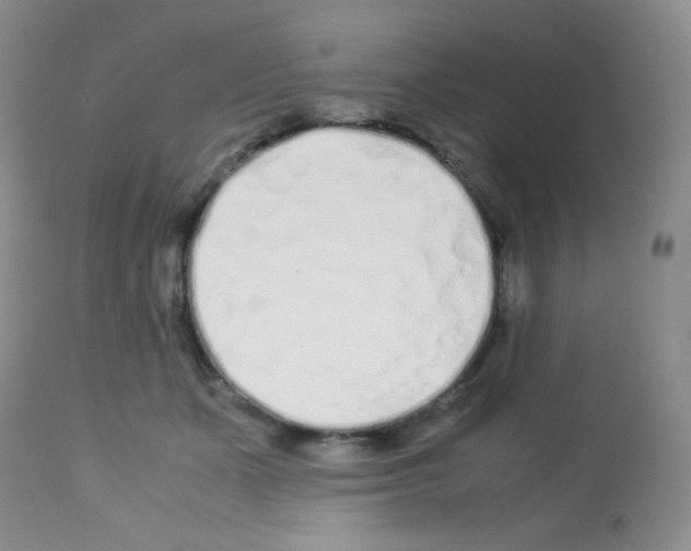 X0000113090511200910091300
