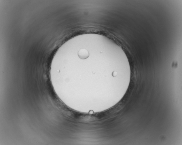 X0000113090512200910091300