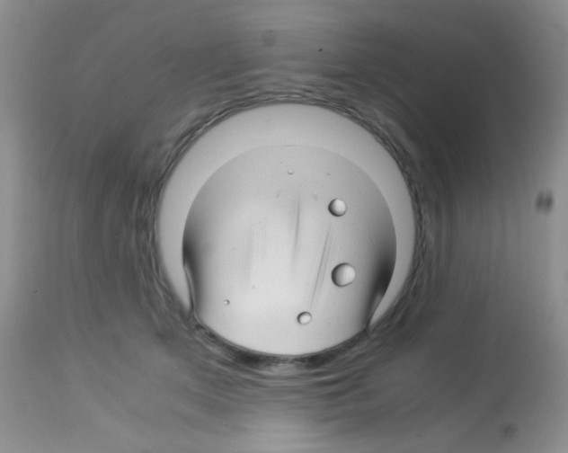 X0000113090513200910091300