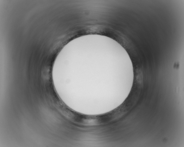 X0000113090514200910091300