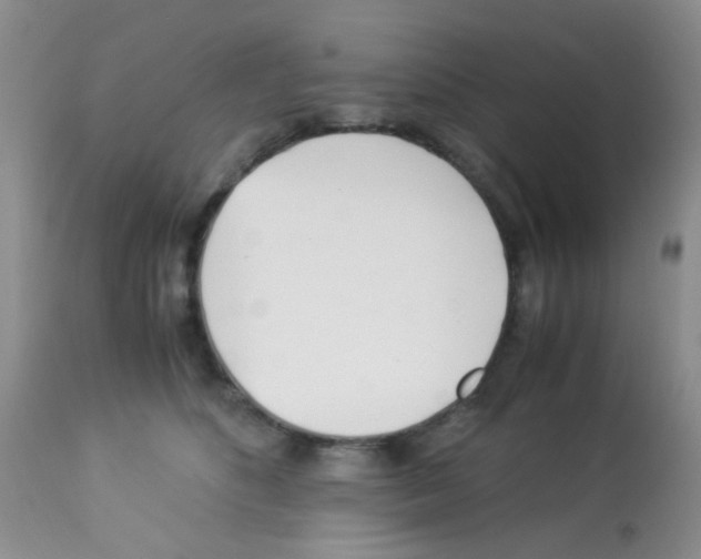 X0000113090516200910091300