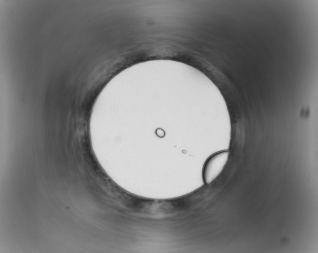X0000113090517200910091300