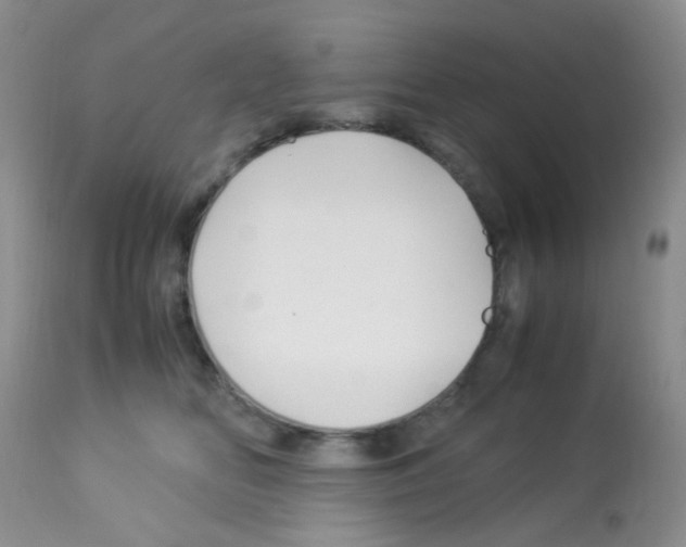 X0000113090518200910091300