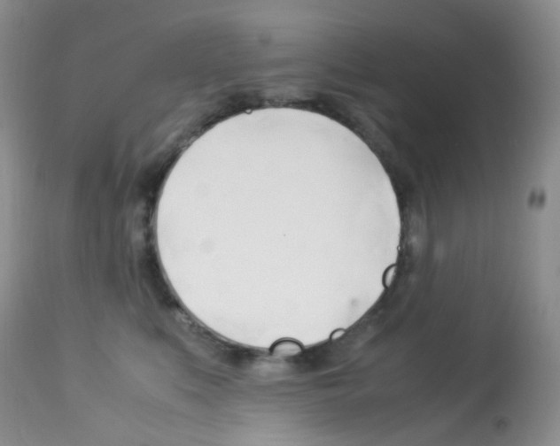 X0000113090519200910091300