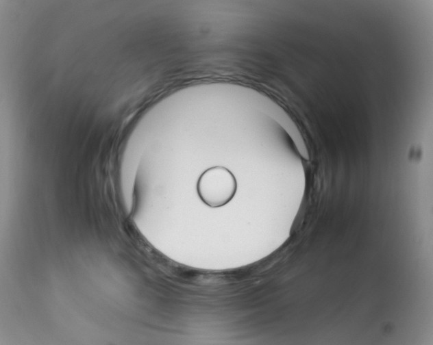 X0000113090520200910091300