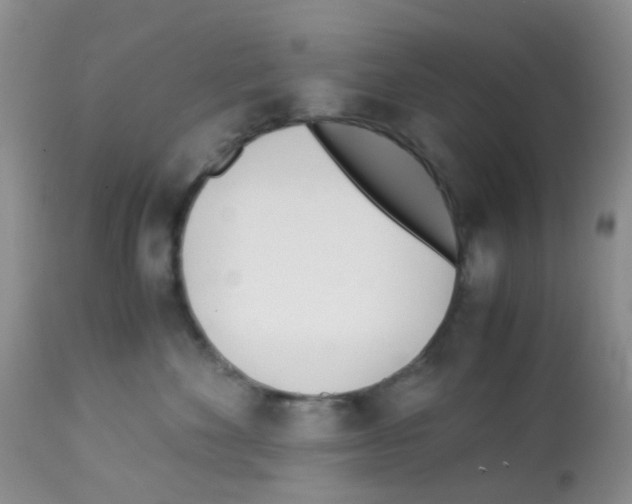 X0000113090524200910091300
