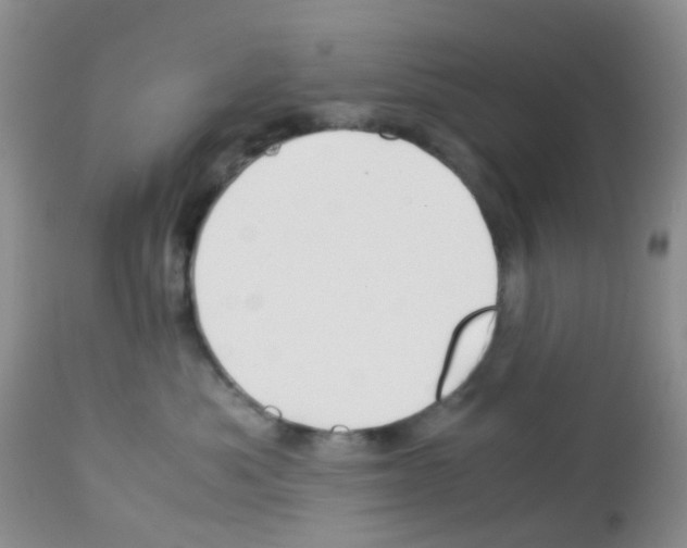 X0000113090525200910091300