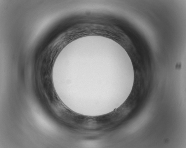 X0000113090526200910091300