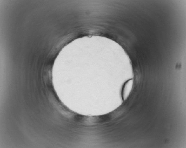 X0000113090527200910091300
