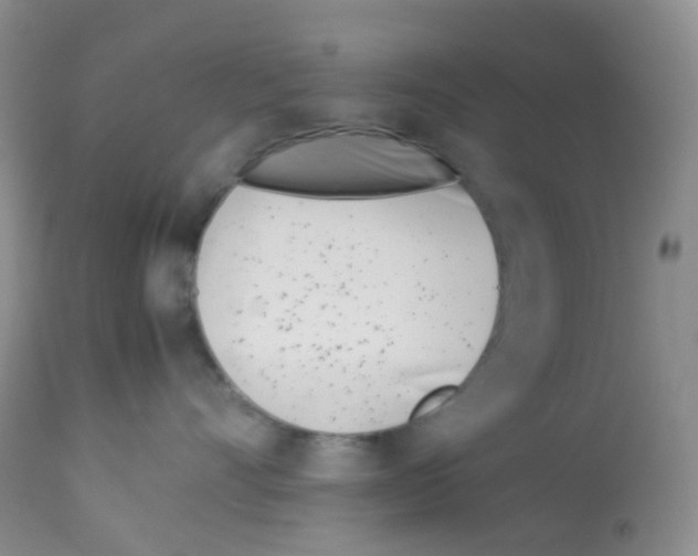 X0000113090528200910091300