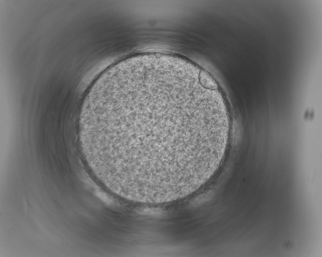 X0000113090529200910091259
