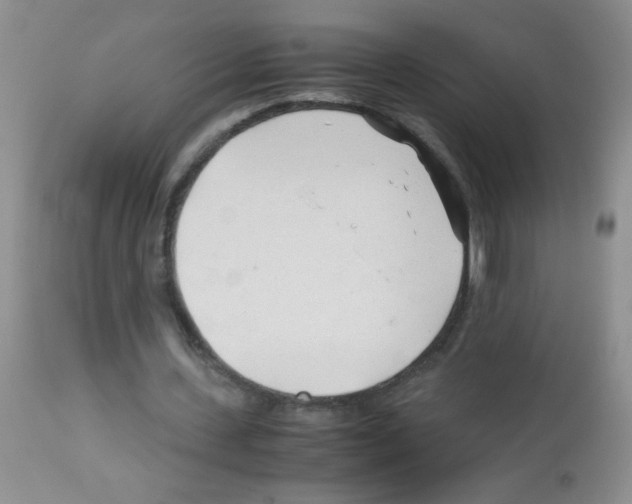 X0000113090531200910091259