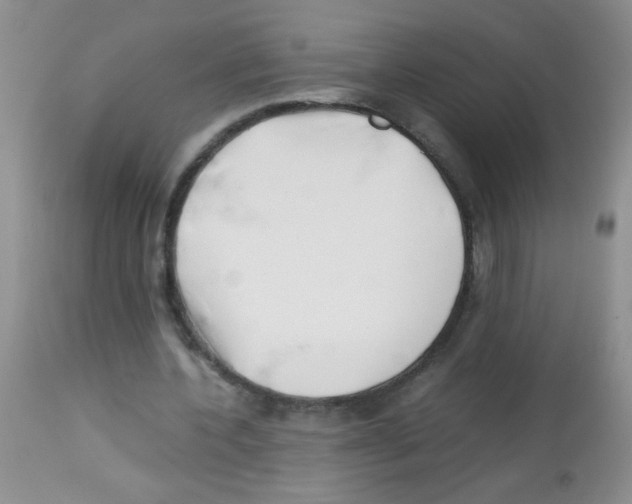 X0000113090532200910091259