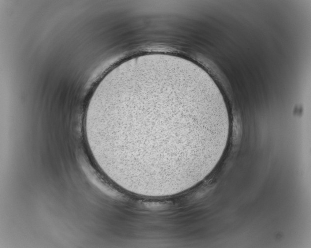 X0000113090533200910091259