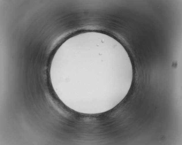 X0000113090535200910091259