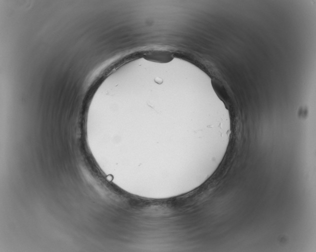 X0000113090536200910091259