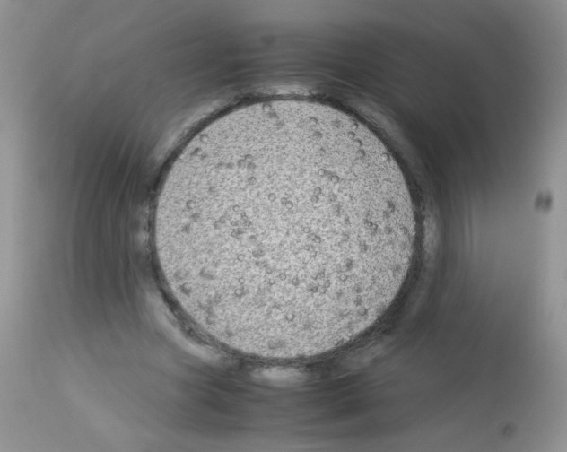 X0000113090537200910091259