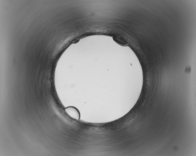 X0000113090538200910091259