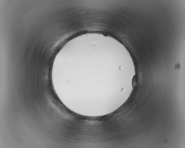 X0000113090539200910091259
