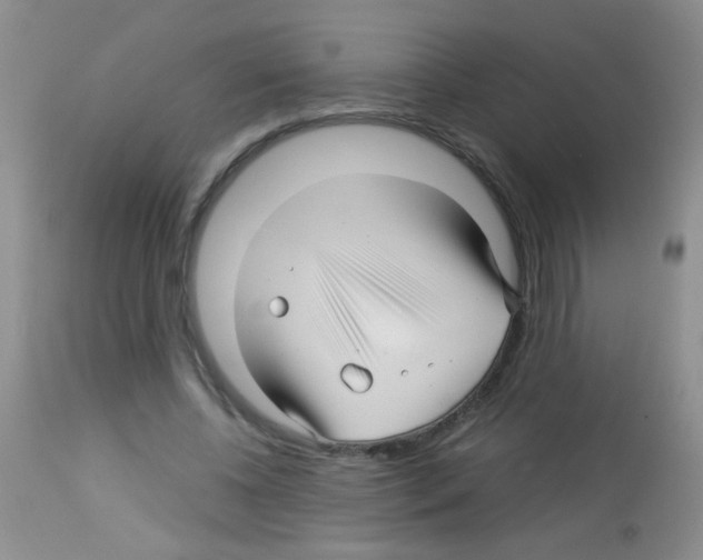 X0000113090540200910091259