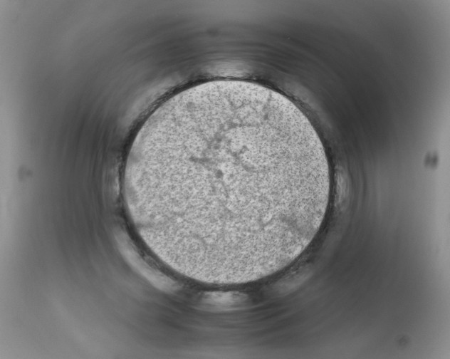 X0000113090541200910091259