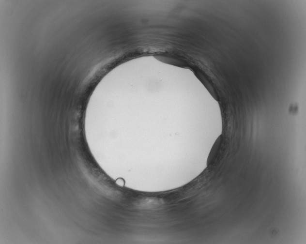 X0000113090543200910091300