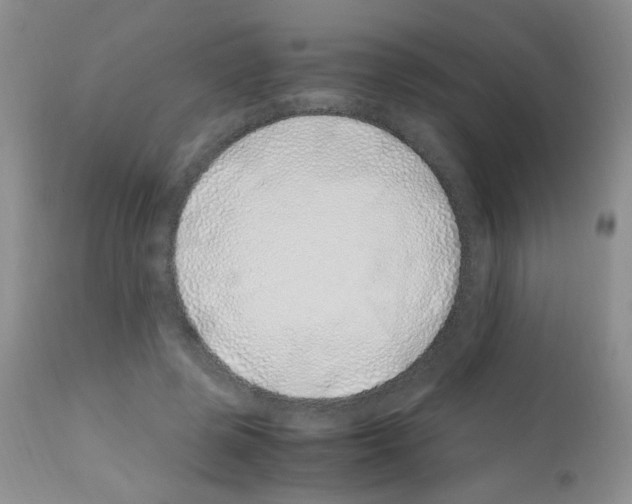 X0000113090545200910091300