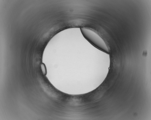 X0000113090546200910091300