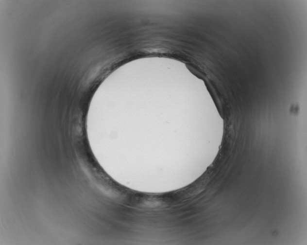 X0000113090547200910091300