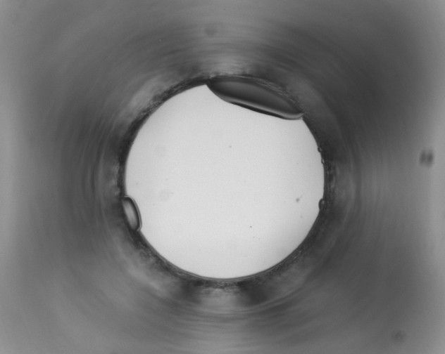 X0000113090548200910091300