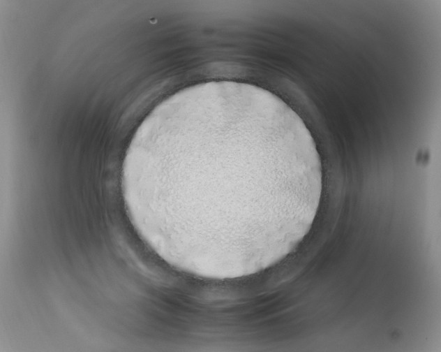X0000113090549200910091300