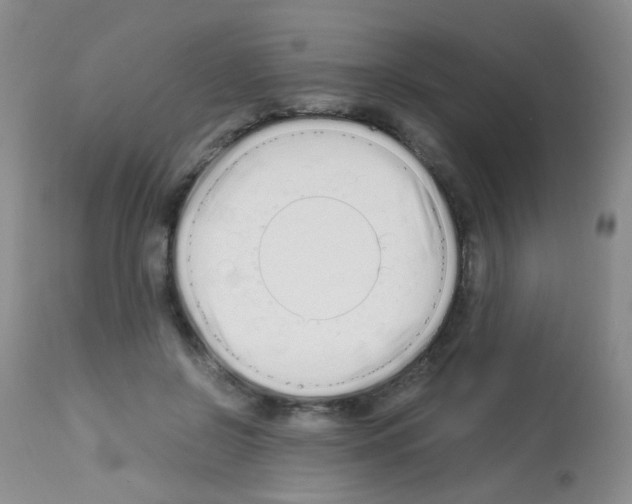 X0000113090550200910091300