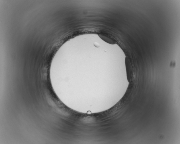 X0000113090551200910091300