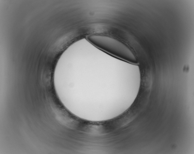 X0000113090552200910091300