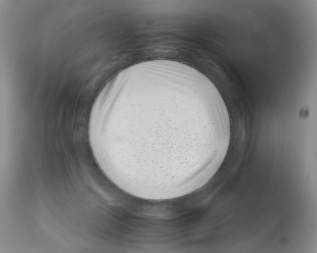X0000113090553200910091300