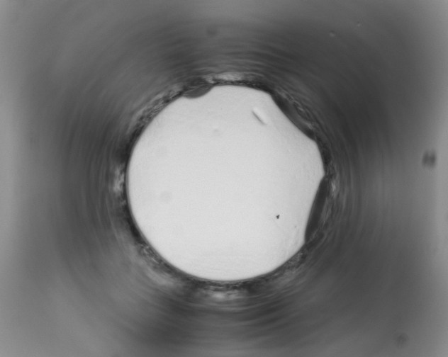 X0000113090555200910091300