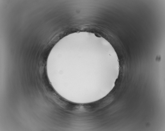 X0000113090558200910091300