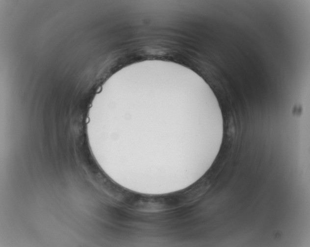 X0000113090559200910091300