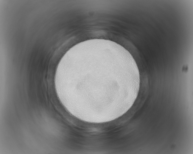 X0000113090565200910091300