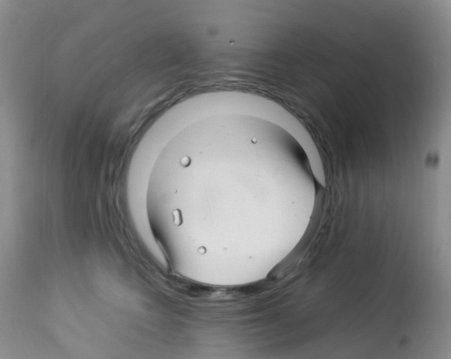 X0000113090566200910091300