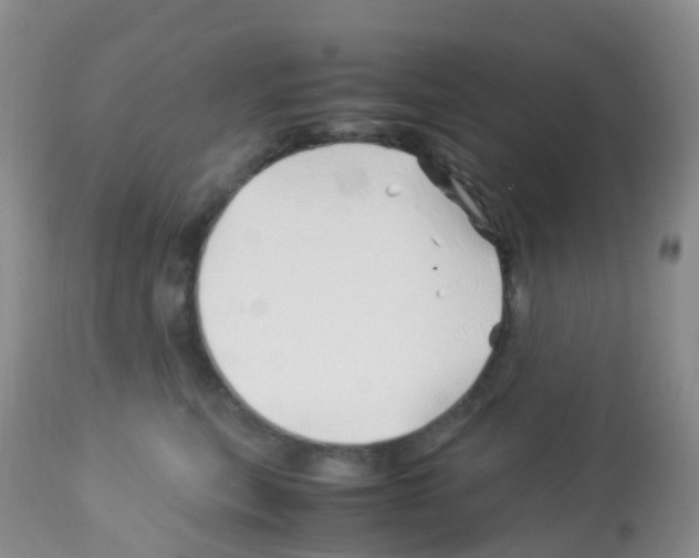 X0000113090567200910091300