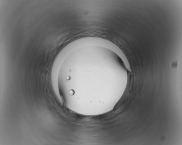 X0000113090568200910091300