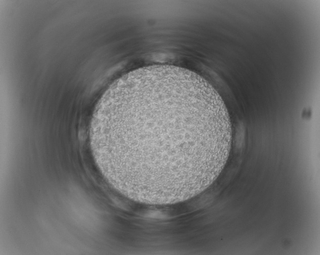 X0000113090569200910091300