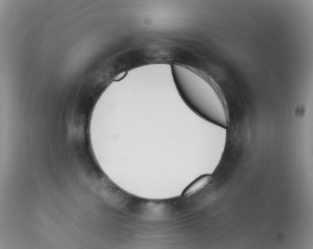 X0000113090570200910091300