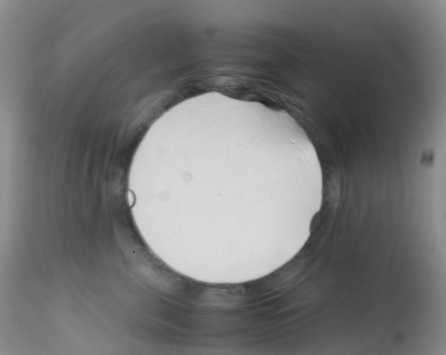 X0000113090571200910091300