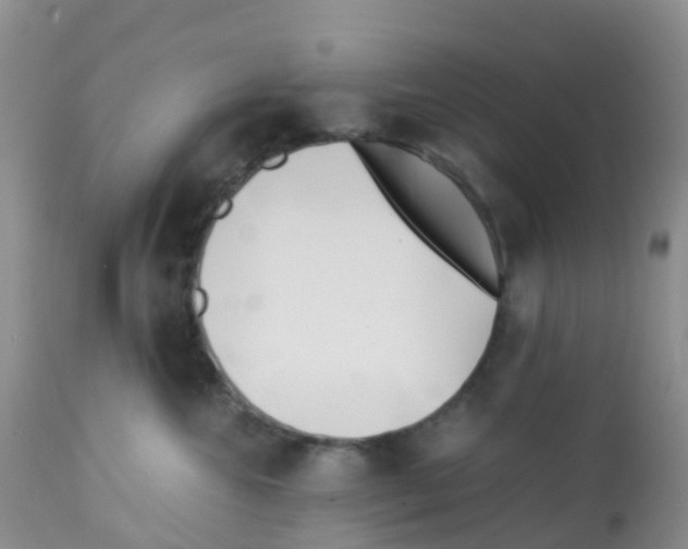 X0000113090572200910091300